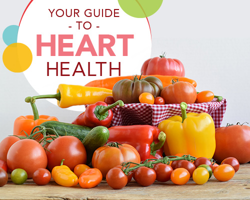 Your Guide to Heart Health