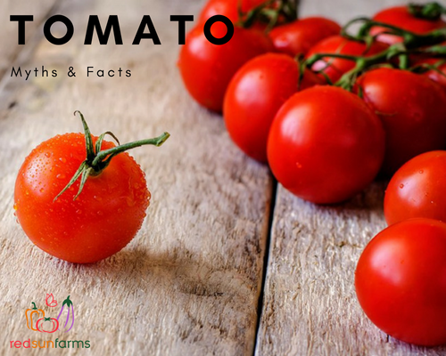 Tomato Myths & Facts