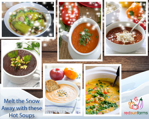 Soup Recipe Roundup by Red Sun Farms