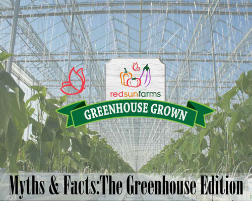 Myths & Facts: Greenhouse Edition