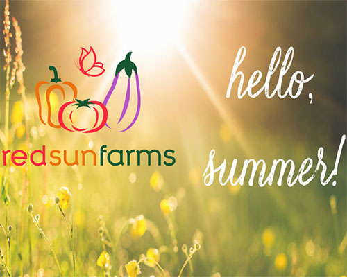 Summer Salads by Red Sun Farms