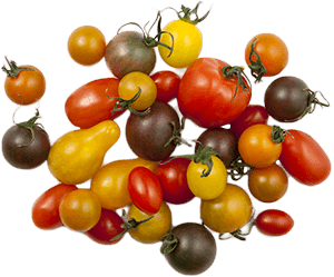 Chef Collection Tomatoes