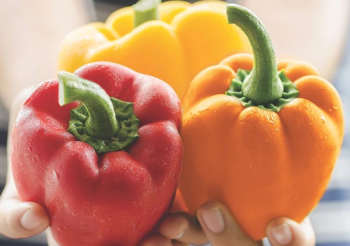 Food bank donations to Harvest hands