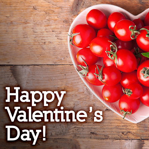 Be Our Valentine!
