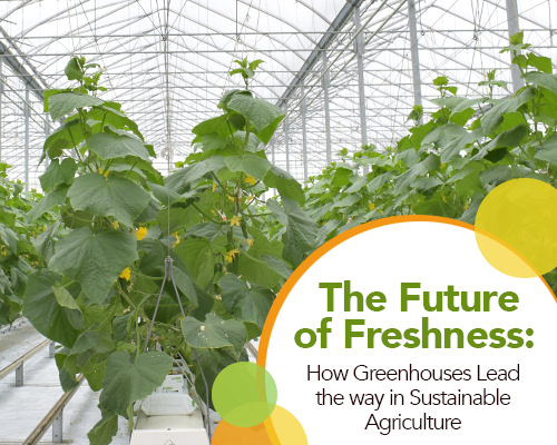 The Future of Freshness: How Greenhouses Lead the way in Sustainable Agriculture