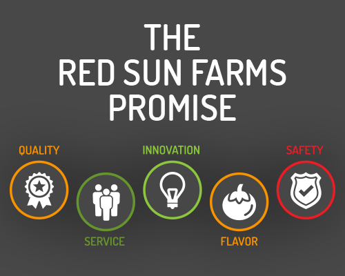 The Red Sun Farms' Promise: Quality, Innovation, Safety, Service, and Flavor