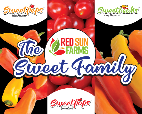 Sweet Family Spotlight: Sweetpops, Sweetpeaks, Sweetpeps!