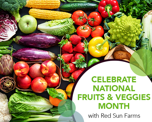 Celebrate National Fruits and Veggies Month with Red Sun Farms!
