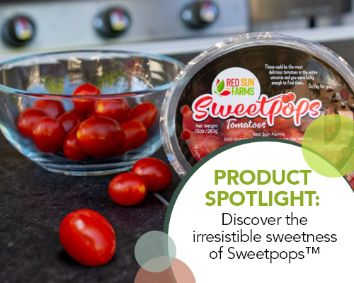 Discover the irresistible sweetness of Sweetpops™ Tomatoes!