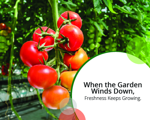 When the Garden Winds Down, Freshness Keeps Growing.