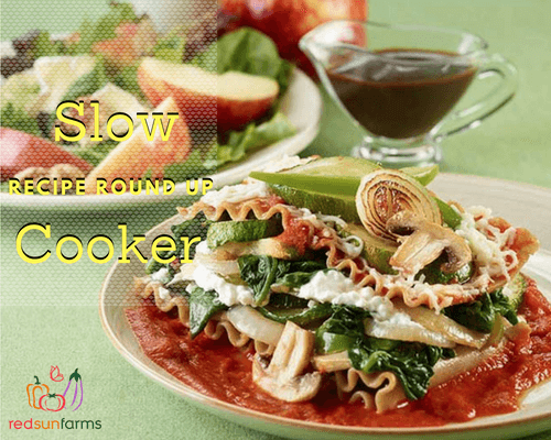 Slow Cooker Recipe Roundup