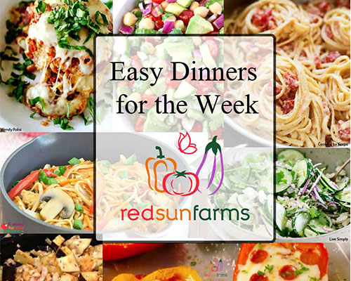 A Week of Easy Dinners