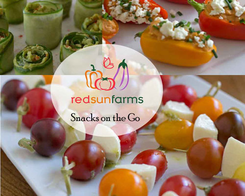 Snacks on the Go