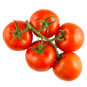 Organic Tomatoes on the Vine