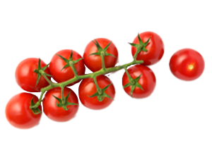 Cherry on the Vine