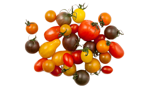 Chef's Collection Gourmet Tomatoes