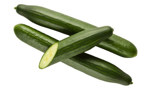 Traditional Series Cucumbers