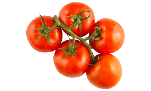 Traditional Series Tomatoes