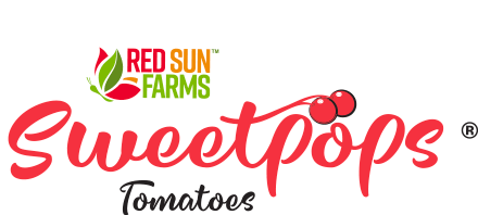 Sweetpops Tomatoes